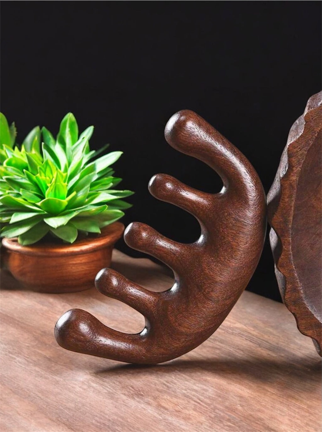 🌿  Mini Natural Wooden Scalp & Body Massager